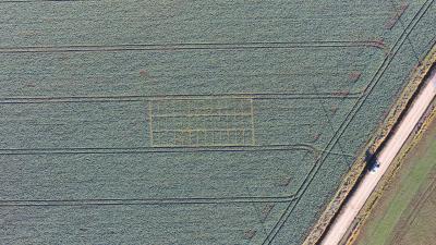 DJI00271